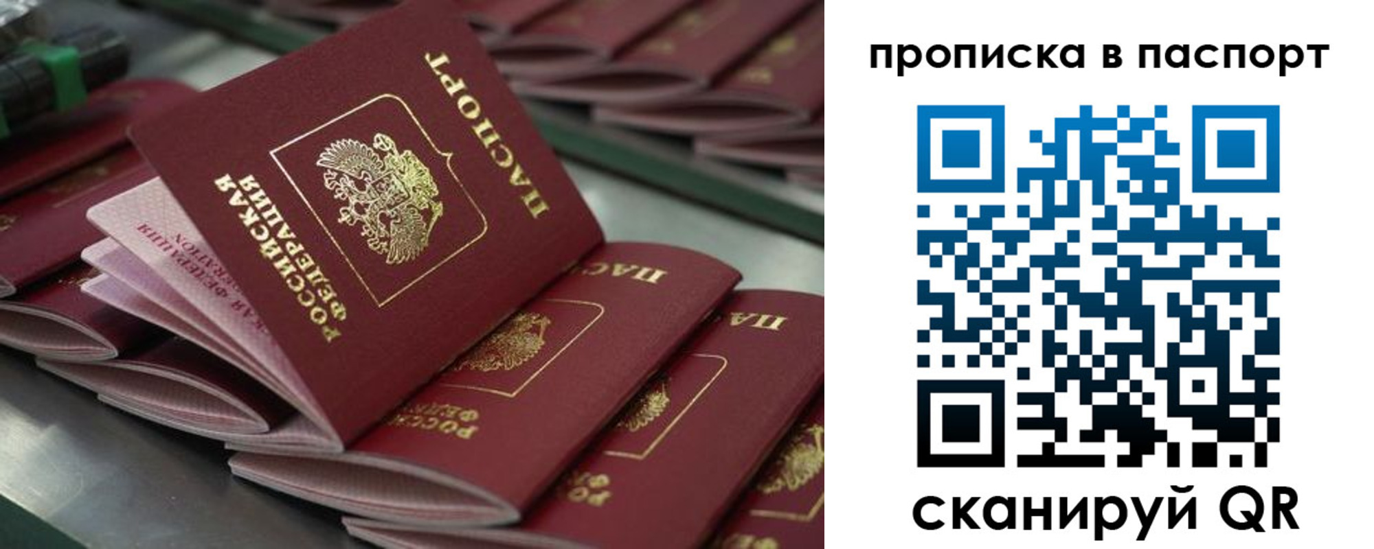 прописка паспорт в Твери